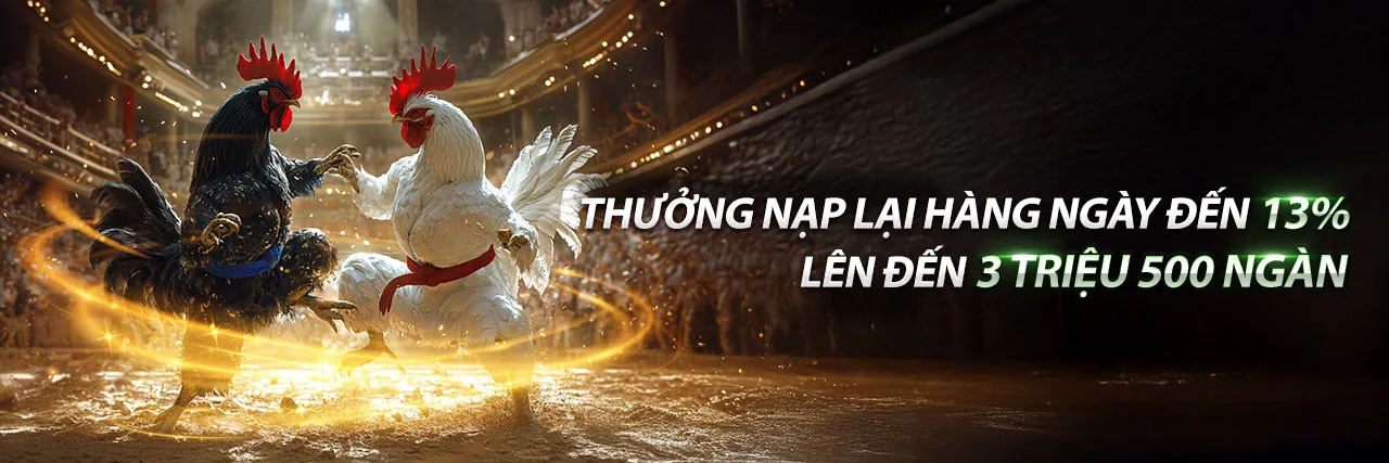 Hình ảnh chính trò chơi bắn cá betvnd8 app