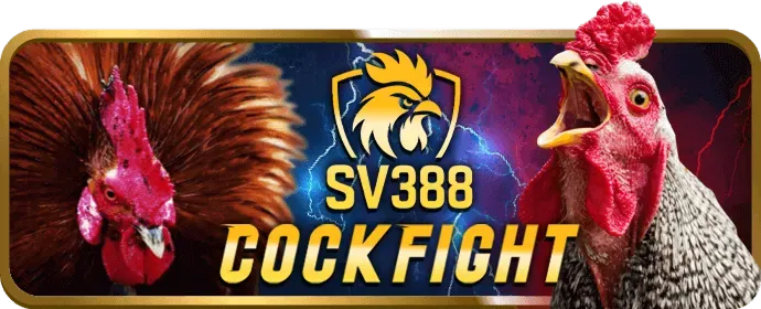 Casino trực tuyến trên betvnd8 app